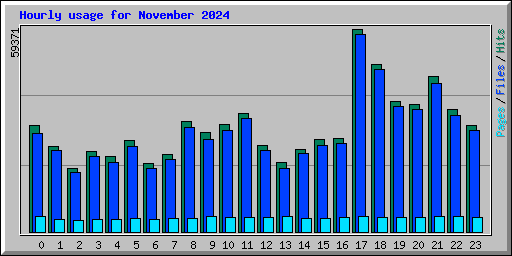 Hourly usage for November 2024