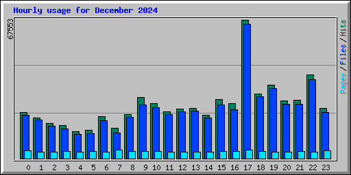Hourly usage for December 2024