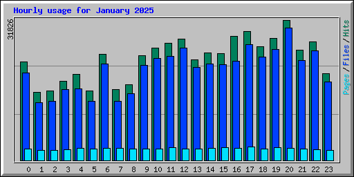 Hourly usage for January 2025