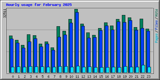 Hourly usage for February 2025