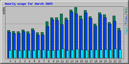 Hourly usage for March 2025