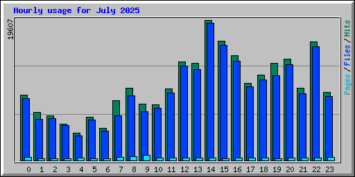 Hourly usage for July 2025
