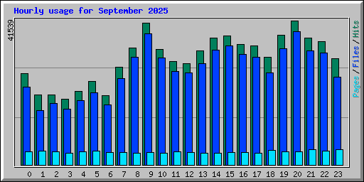 Hourly usage for September 2025