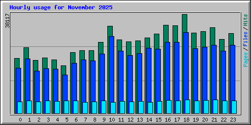 Hourly usage for November 2025