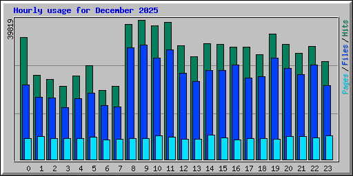 Hourly usage for December 2025