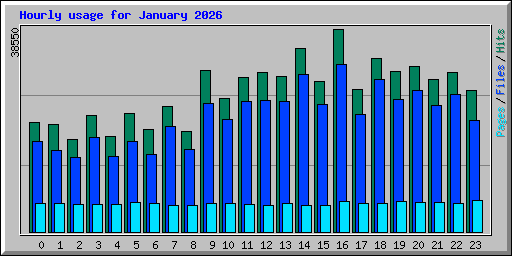 Hourly usage for January 2026